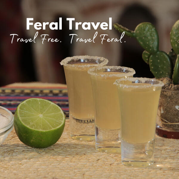 Mexico Image Mexico research guide by Feral Travel